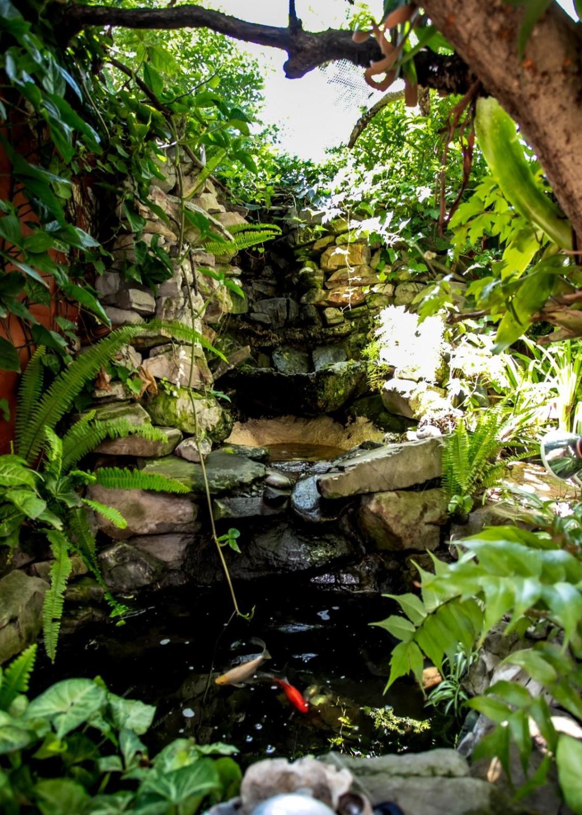 Zoete Inval Hostel Hermanus Buitenkant foto